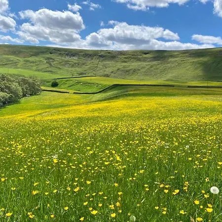 The Bakehouse * Richmond